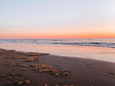 Holiday park Bungalow in Südholland nahe am Strand - Environment photo 22