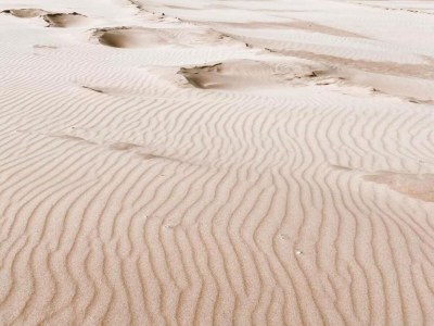 Holiday park Bungalow in Südholland nahe am Strand - Environment photo 24