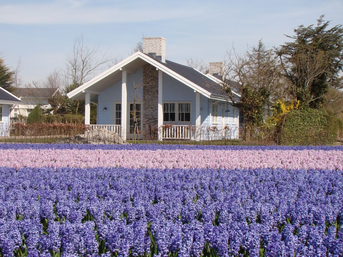Holiday park Ferienhaus nahe Küste und Wald - Outdoor photo 5
