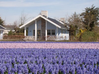 Holiday park Ferienhaus nahe Küste und Wald - Outdoor photo 5