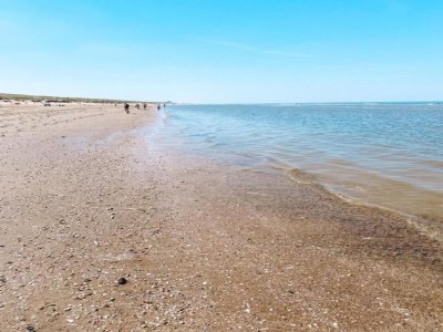 Holiday park Ferienhaus nahe Küste und Wald - Environment photo 28