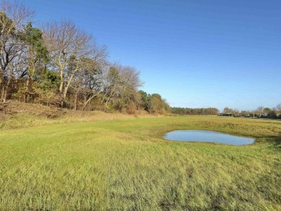 Holiday park Holiday Home near Dutch Coast & Forest - Environment photo 29