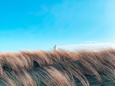 Holiday park Holiday Home near Dutch Coast & Forest - Environment photo 32