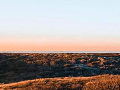 Holiday park Holiday Home near Dutch Coast & Forest - Environment photo 33