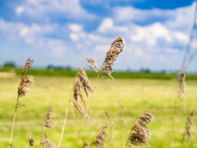 Holiday house Holiday Home Oud Ade near Kaag Lakes - Outdoor photo 26