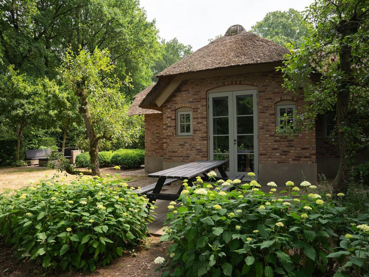 Holiday house Farmhouse in Veluwe with Sauna and Nature Views - Outdoor photo 4