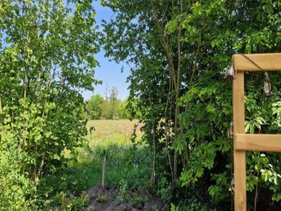 Holiday house Farmhouse in Veluwe with Sauna and Nature Views - Environment photo 22