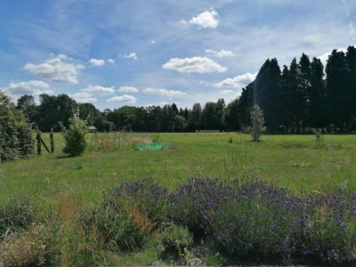 Holiday house Farmhouse in Veluwe with Sauna and Nature Views - Environment photo 31
