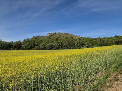 Holiday apartment Casa Franken - Environment photo 9