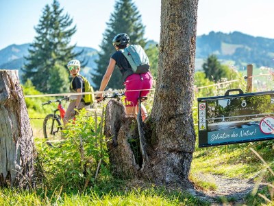 Apartment Ferienwohnung „Falken“ - Features photo 20
