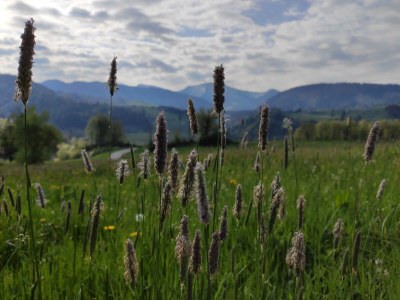 Apartment Ferienwohnung Alpenglück - Outdoor photo 6