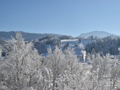 Apartment Ferienwohnung Alpenglück - Outdoor photo 10