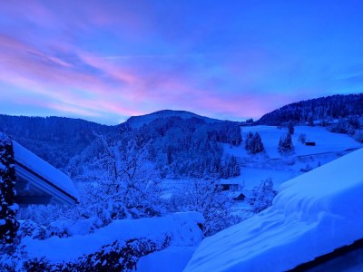 Apartment Ferienwohnung Alpenglück - Outdoor photo 11