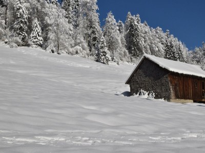 Apartment Ferienwohnung Alpenglück - Outdoor photo 12