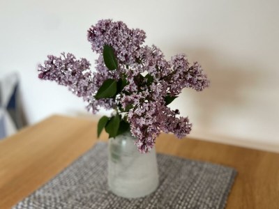 Apartment Ferienwohnung Alpenglück - Features photo 41