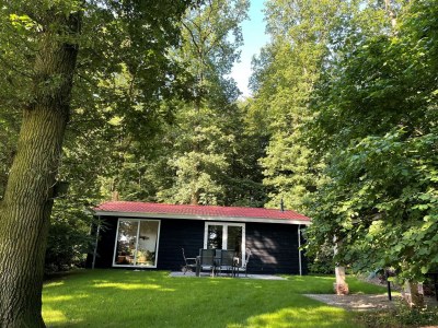 Holiday house Ferienhaus in Hellendoorn in der Nähe des Waldes - Outdoor photo 4