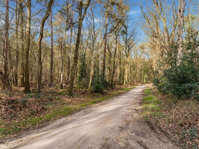 Holiday house Ferienhaus in Hellendoorn in der Nähe des Waldes - Environment photo 25