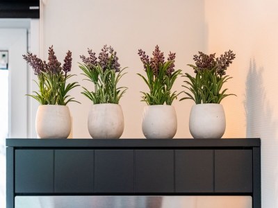 Holiday house Ferienhaus in Hellendoorn in der Nähe des Waldes - Outdoor photo 27