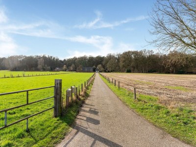 Holiday house Ferienhaus in Hellendoorn in der Nähe des Waldes - Outdoor photo 31