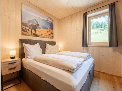 Apartment Apartment in Oberwölz by Ski Slopes - Features photo 10