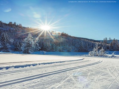 Apartment Apartment in Oberwölz by Ski Slopes - Outdoor photo 21