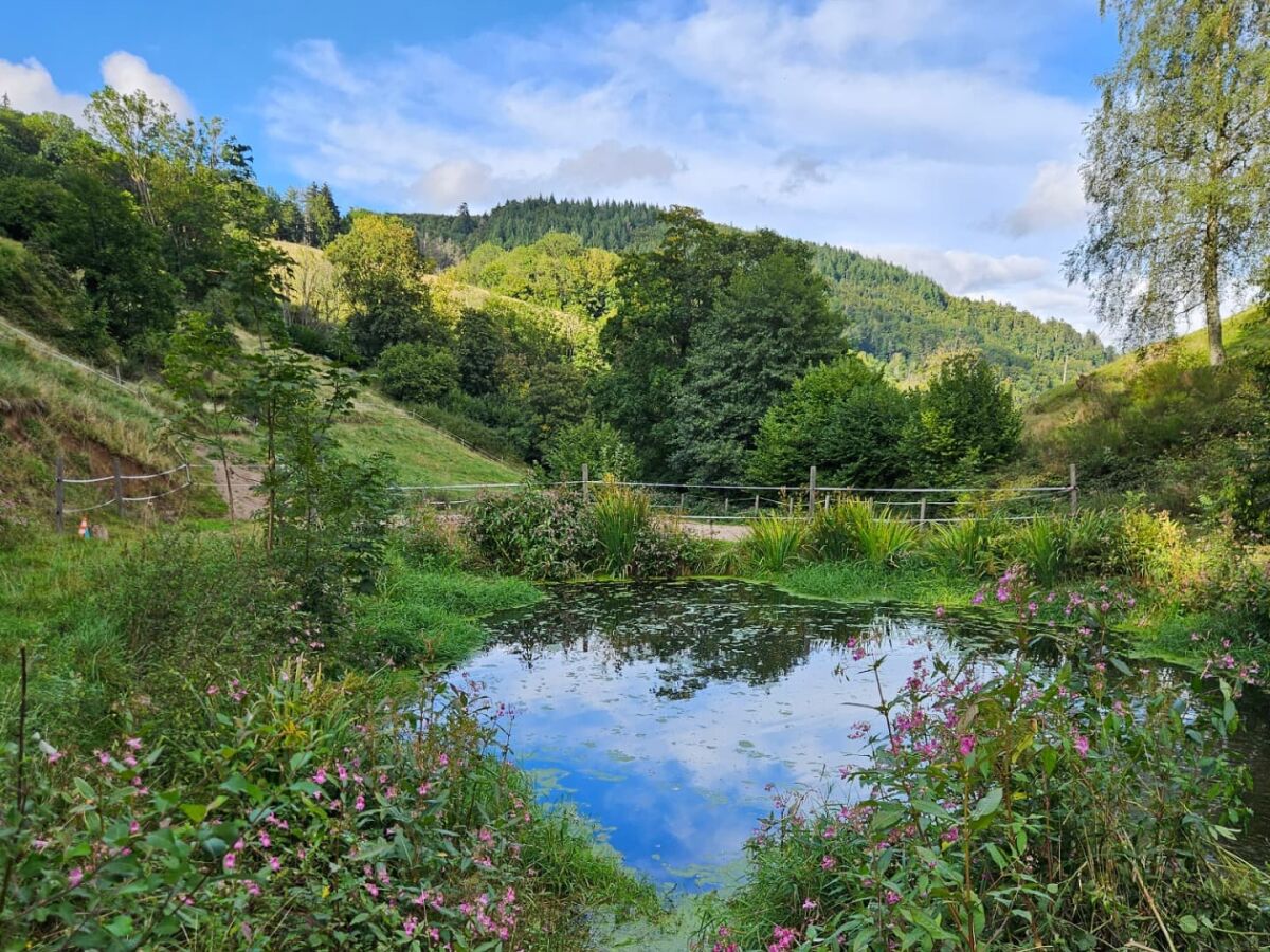 Holiday apartment Ferme du Val de Bruinen - Outdoor photo 3