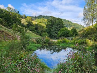 Holiday apartment Ferme du Val de Bruinen - Outdoor photo 3