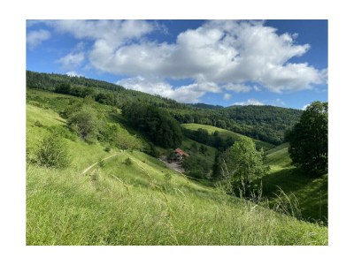 Holiday apartment Ferme du Val de Bruinen - Environment photo 11