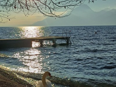 Holiday apartment Ca'  Granda sul Garda - Environment photo 27