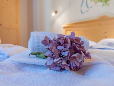 Apartment Villa Edelweiss Campanula - Features photo 21