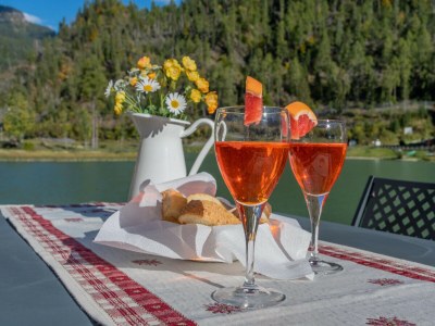 Apartment Villa Edelweiss Campanula - Features photo 29