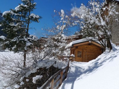 Apartment Villa Edelweiss Campanula - Environment photo 32