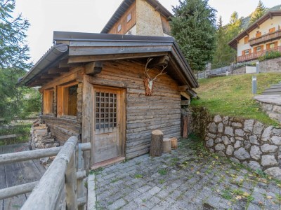 Apartment Villa Edelweiss Campanula - Environment photo 39