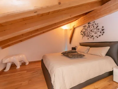 Apartment AE 1793 - Arabba - Features photo 18