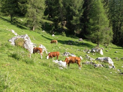 Apartment Tre Valli 5 - Outdoor photo 9