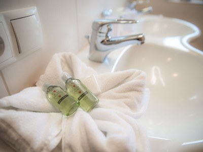 Holiday apartment Chalet Bernegg - Ã–tztal - Features photo 24