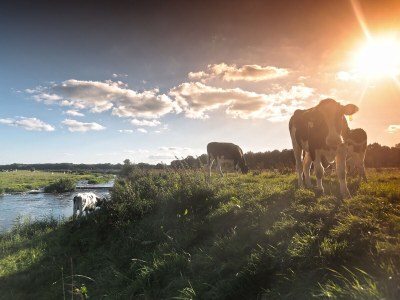 Holiday apartment De Steenhoeve - Environment photo 32