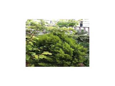 Apartment Apartments Villa Sarajevo - Two Bedroom Apartment with Terrace and Balcony - Outdoor photo 9