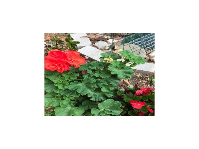 Apartment Apartments Villa Sarajevo - Two Bedroom Apartment with Terrace and Balcony - Outdoor photo 11