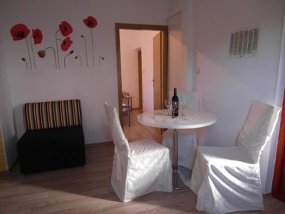 Apartment One Bedroom apartment with Terrace in Sibenik - Apartment