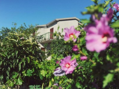 Apartment One Bedroom apartment with Terrace - Outdoor photo 3