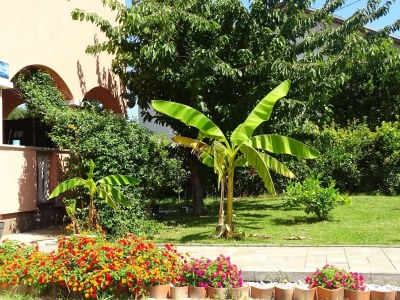 Apartment Apartmani Luna - Two Bedroom  Apartment - Outdoor photo 5