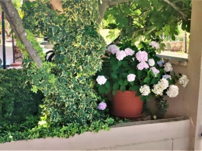 Apartment Apartments Dea & Paula - Classic Two Bedroom Apartment with Terrace - Outdoor photo 8