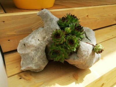 Holiday house Mobile Home Nensi Two bedroom - Outdoor photo 18