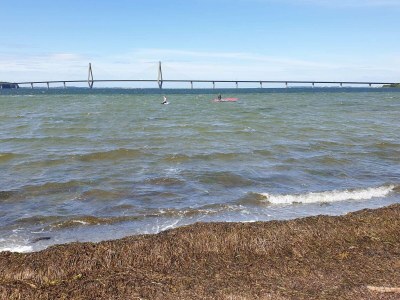 Holiday house 6 Personen Ferienhaus in Bogø By - Outdoor photo 19