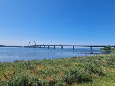Holiday house 6 Personen Ferienhaus in Bogø By - Outdoor photo 20