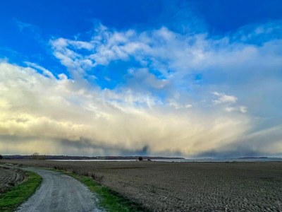 Holiday house 6 Personen Ferienhaus in Bogø By - Outdoor photo 27