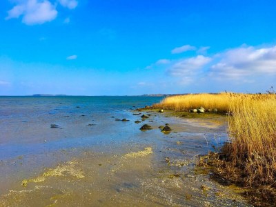 Holiday house 6 Personen Ferienhaus in Bogø By - Outdoor photo 29
