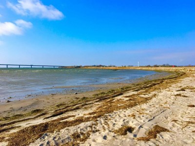 Holiday house 6 Personen Ferienhaus in Bogø By - Outdoor photo 31