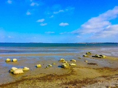 Holiday house 6 Personen Ferienhaus in Bogø By - Outdoor photo 32